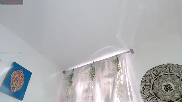 Marci owo online show from 4, 4, 2026