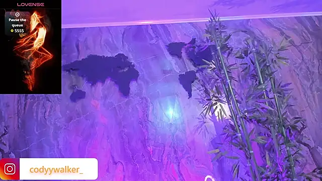 CodyWalkerR online show from 15, 4, 2026