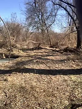 Snapshot of Boysex227 chatting on 8, 3, 2025 Boysex227 online show from 8, 3, 2025