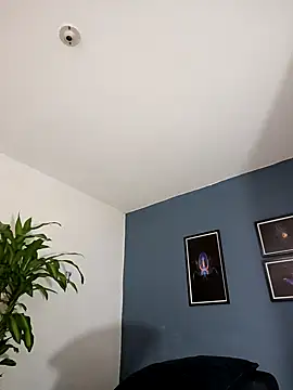 SilvaBranko online show from 9, 11, 2025