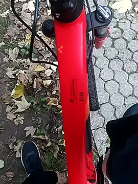 Snapshot of maleesa chatting on 4, 10, 2025 maleesa online show from 4, 10, 2025