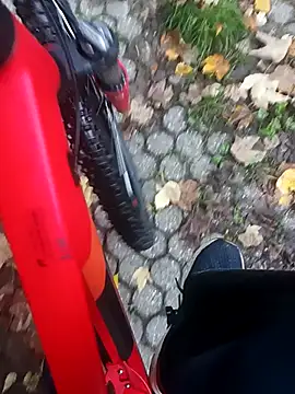 Snapshot of maleesa chatting on 11, 10, 2025 maleesa online show from 11, 10, 2025