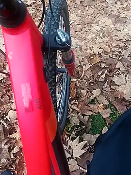 Snapshot of maleesa chatting on 2, 11, 2025 maleesa online show from 2, 11, 2025