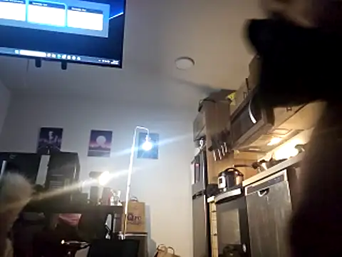 Armyexhibitionistvet online show from 26, 11, 2025