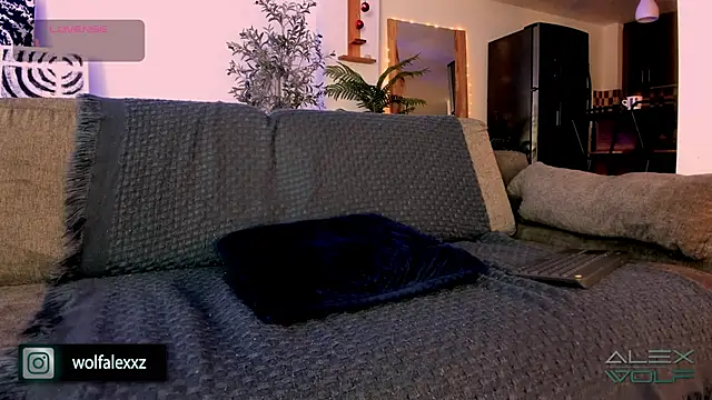 alex wolf  online show from 8, 2, 2025