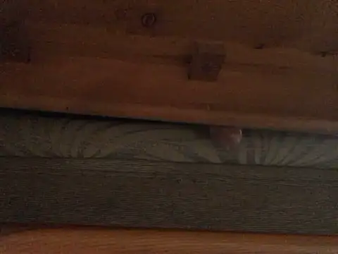 Snapshot of Dicksexhandjob chatting on 21, 2, 2025 Dicksexhandjob online show from 21, 2, 2025