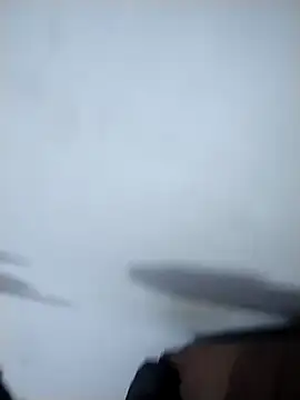 Flaquito pitudo online show from 2, 12, 2024