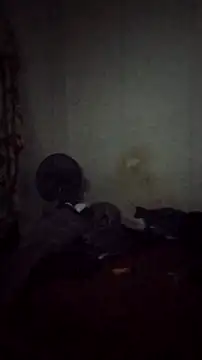 Flaquito pitudo online show from 9, 12, 2024