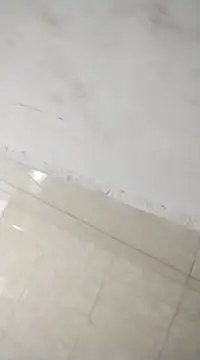 Flaquito pitudo online show from 25, 2, 2025