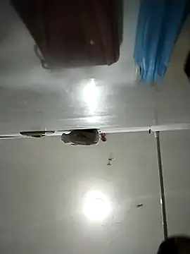 Flaquito pitudo online show from 1, 3, 2025