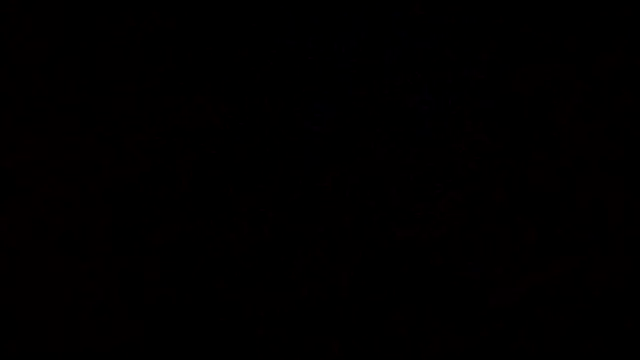 Flaquito pitudo online show from 9, 3, 2025