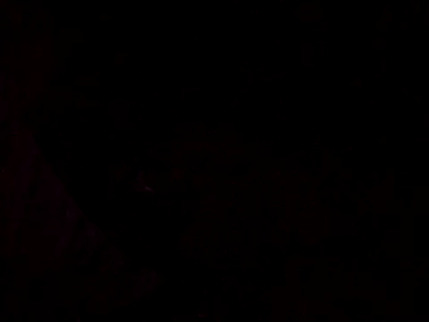 Flaquito pitudo online show from 12, 3, 2025