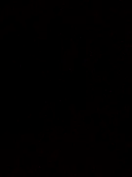 Flaquito pitudo online show from 18, 3, 2025