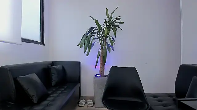 alice greco online show from 3, 2, 2026