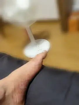NAMEINU-ICE online show from 6, 5, 2026