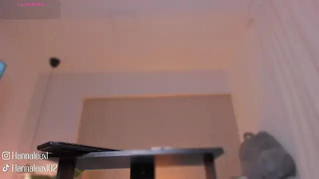 hanna lee02 online show from 24, 2, 2026