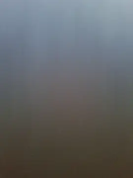 Snapshot of pachapeter chatting on 20, 4, 2026 pachapeter online show from 20, 4, 2026