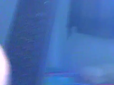 Ian zaenzz online show from 7, 12, 2024