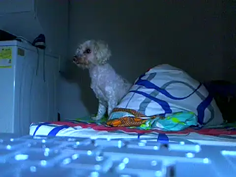 Ian zaenzz online show from 27, 11, 2025