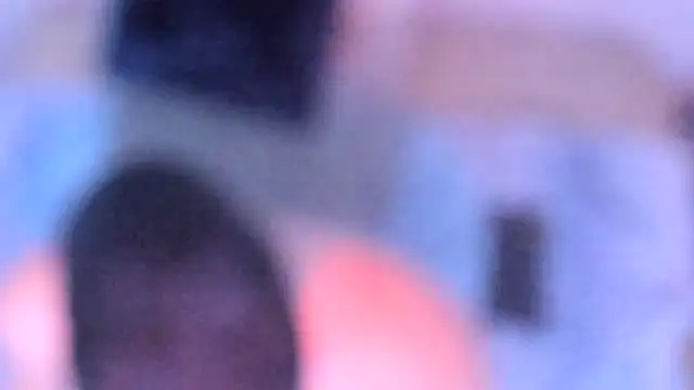 Snapshot of stillwild chatting on 14, 12, 2025 stillwild online show from 14, 12, 2025