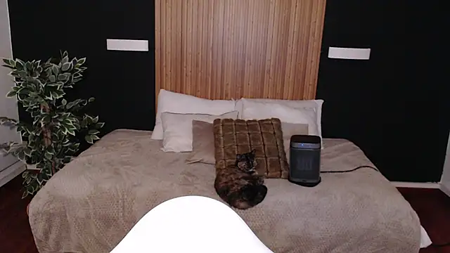 Snapshot of dafne_bss chatting on 6, 3, 2025 dafne bss online show from 6, 3, 2025