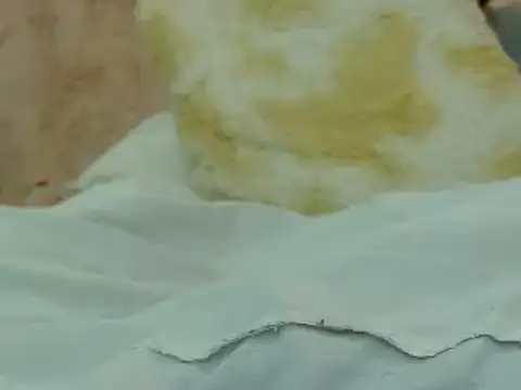 hairy pussywet online show from 4, 2, 2025