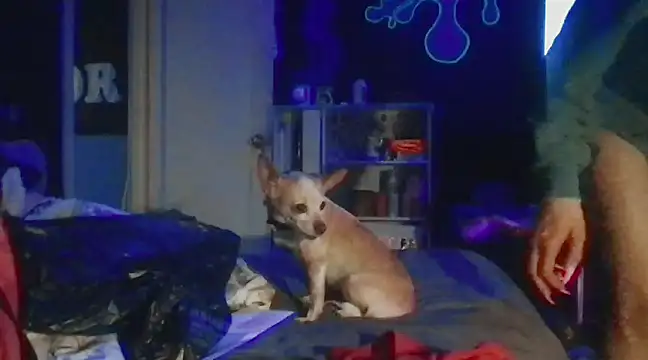 watermellonpussy online show from 28, 12, 2024