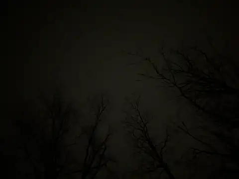 watermellonpussy online show from 23, 3, 2025