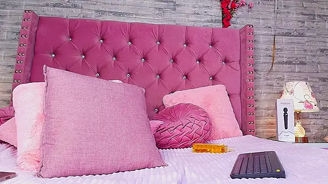 AuroraSim online show from 26, 1, 2025