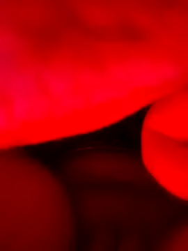 vulgovic  online show from 5, 6, 2026