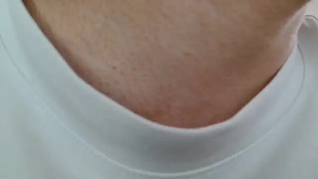 Kakushi dori online show from 6, 10, 2025