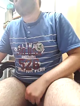 Javier bear online show from 19, 10, 2025