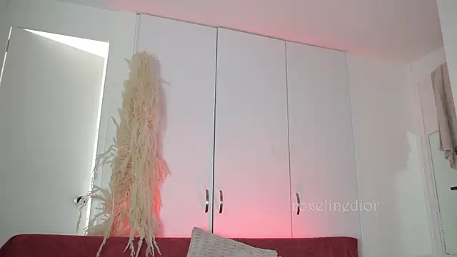Snapshot of roselinedior chatting on 10, 11, 2025 roselinedior online show from 10, 11, 2025