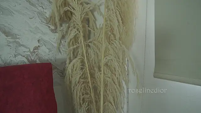 Snapshot of roselinedior chatting on 1, 12, 2025 roselinedior online show from 1, 12, 2025