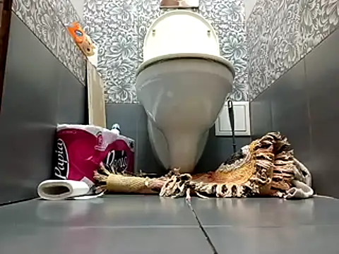 zsd off online show from 8, 11, 2025