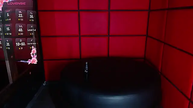 Snapshot of ElianFoxter chatting on 30, 12, 2024 ElianFoxter online show from 30, 12, 2024