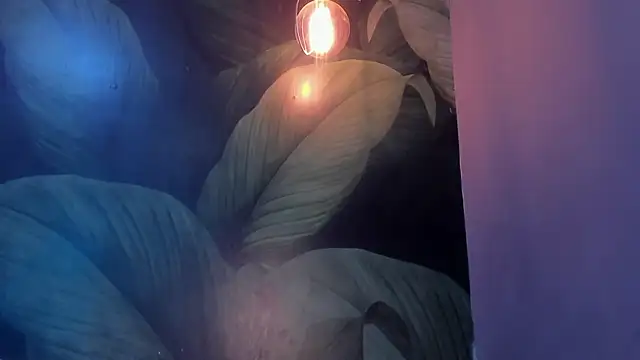 Snapshot of sweett_dirty chatting on 27, 1, 2025 sweett dirty online show from 27, 1, 2025