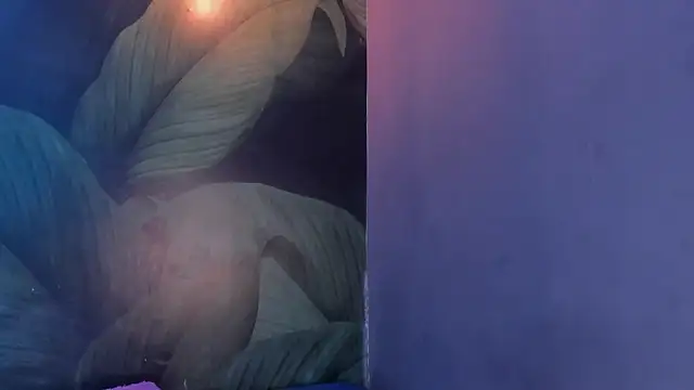 Snapshot of sweett_dirty chatting on 1, 2, 2025 sweett dirty online show from 1, 2, 2025