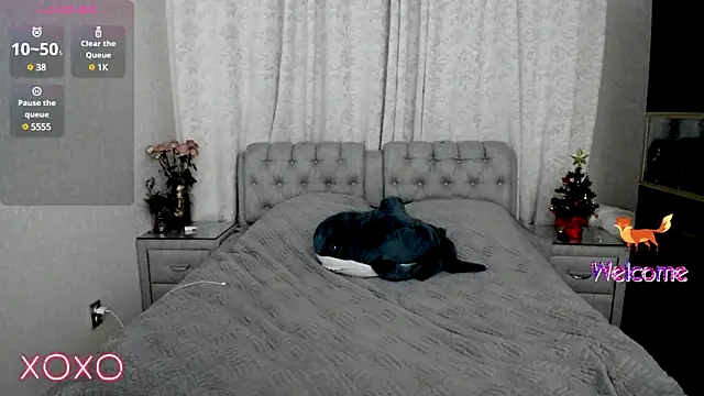 rocky foxy online show from 19, 1, 2025