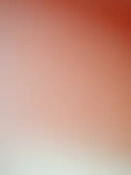 zhenzhen521 online show from 11, 11, 2025