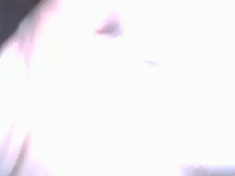Snapshot of BobbyQ29 chatting on 25, 4, 2026 BobbyQ29 online show from 25, 4, 2026