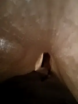 Shivaa- online show from 21, 3, 2026