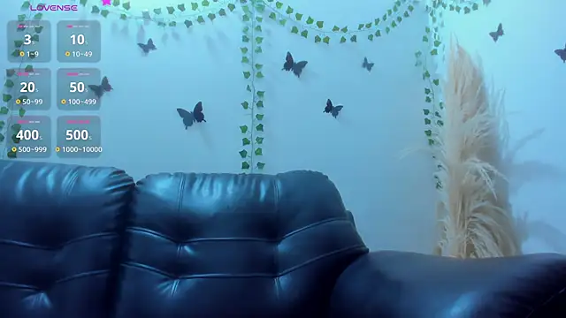 Amani Bakir online show from 17, 12, 2025