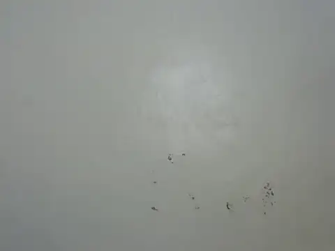 Rasta tattooed online show from 6, 2, 2026