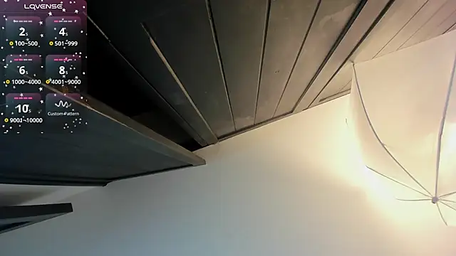 FaloonRoussel online show from 30, 11, 2025