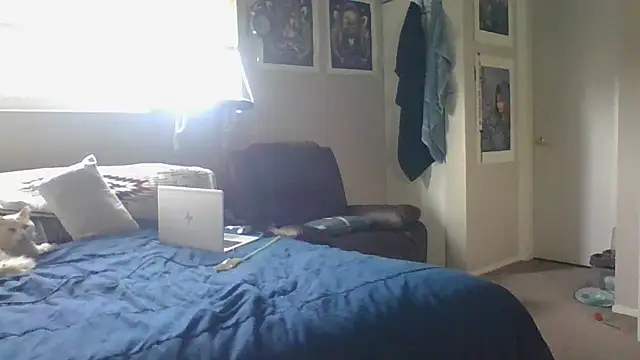 Morremarie online show from 4, 2, 2025