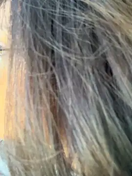 Snapshot of miacanela_xo chatting on 11, 10, 2025 miacanela xo online show from 11, 10, 2025