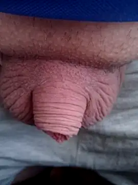 Rasta1987xh online show from 5, 4, 2026