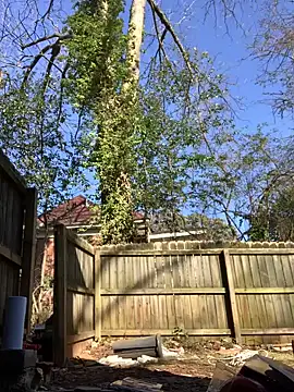 Snapshot of trash4cash chatting on 28, 1, 2025 trash4cash online show from 28, 1, 2025