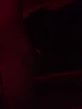 Snapshot of trash4cash chatting on 9, 2, 2025 trash4cash online show from 9, 2, 2025